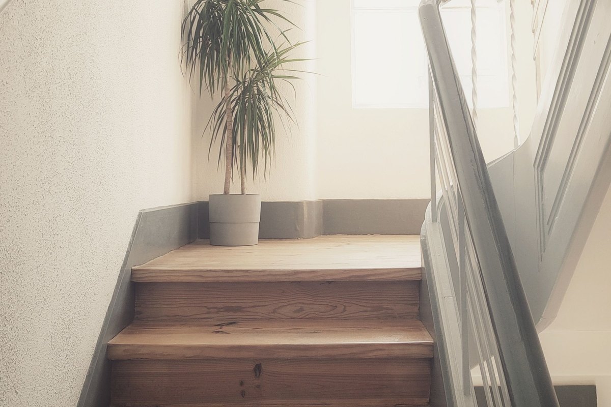 Wood stairs rising to a landing with a potted plant under a window